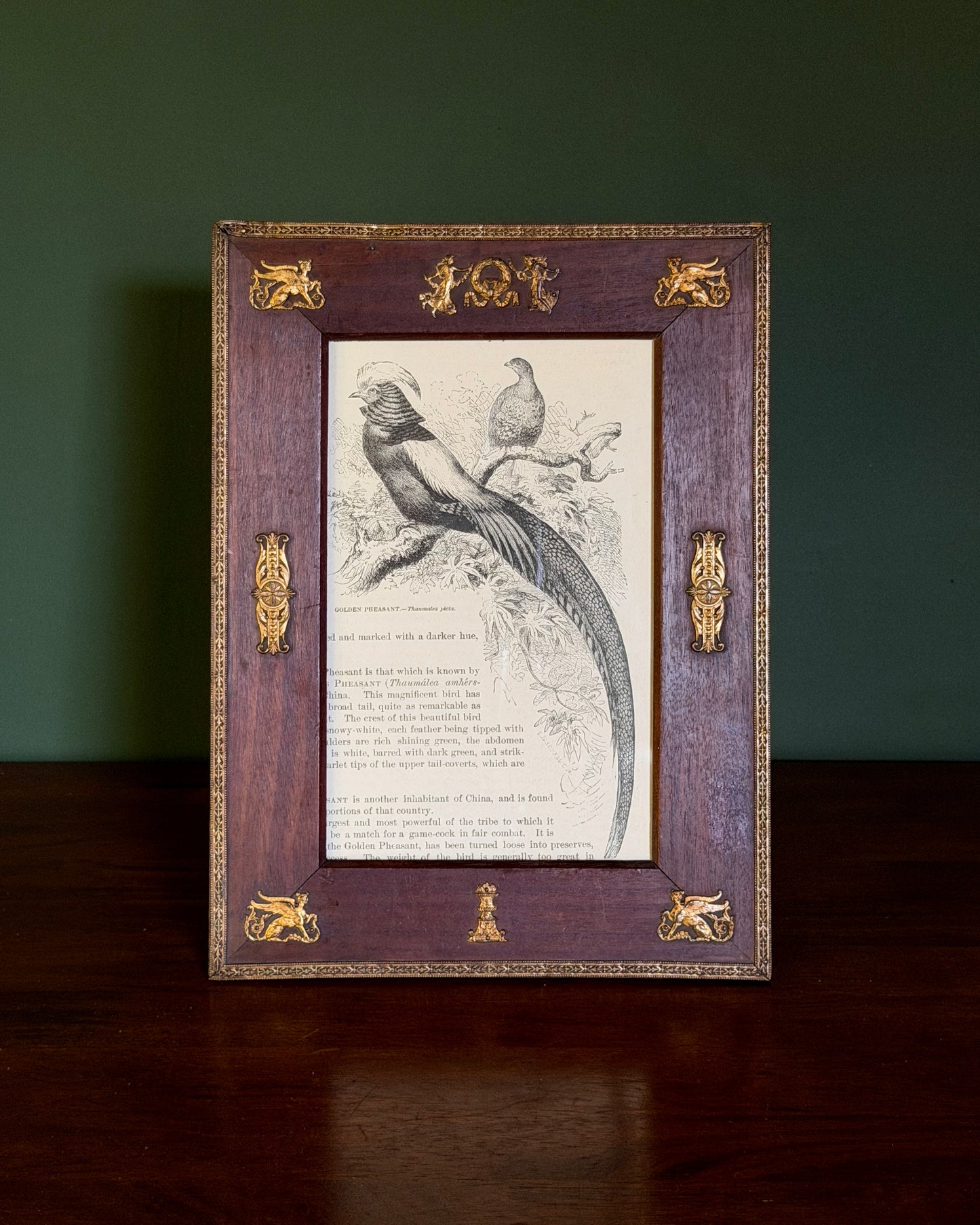Wood and Ormolu Frame