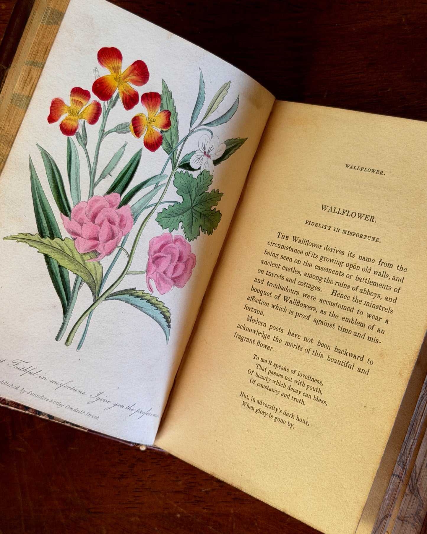 Language of Flowers Book