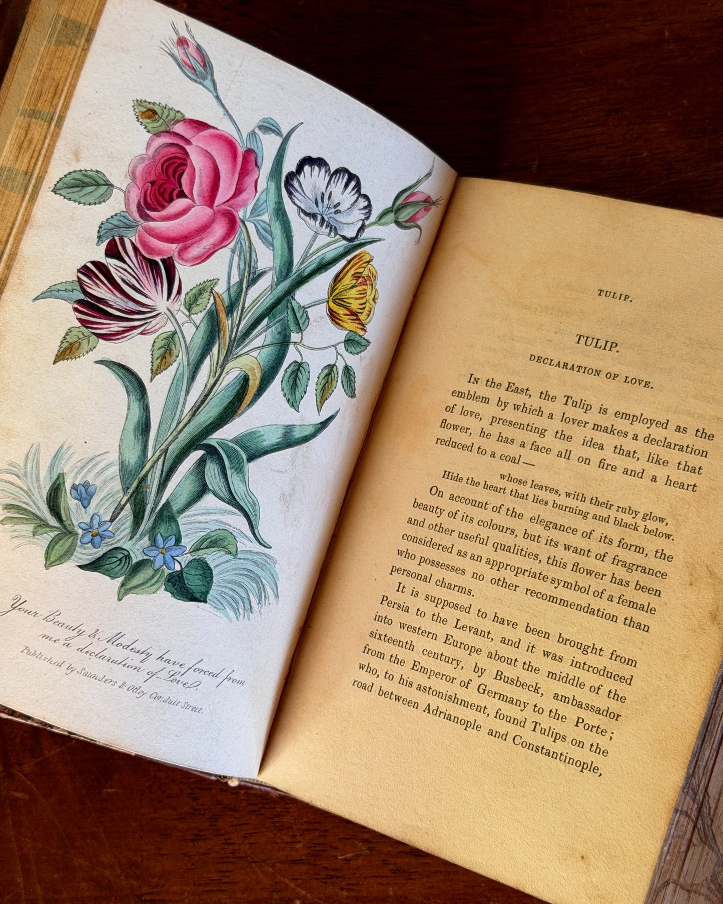 Language of Flowers Book
