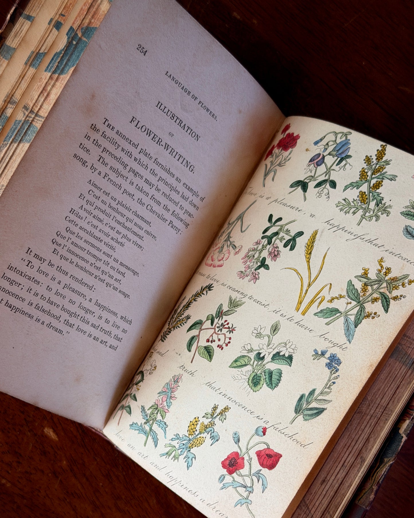 Language of Flowers Book