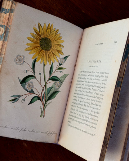 Language of Flowers Book