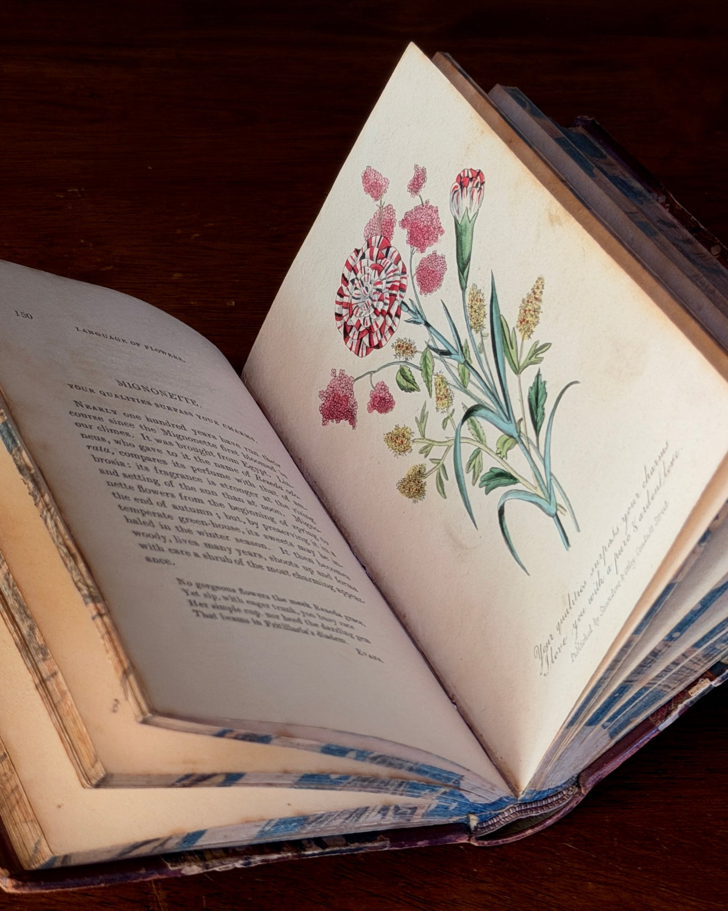 Language of Flowers Book
