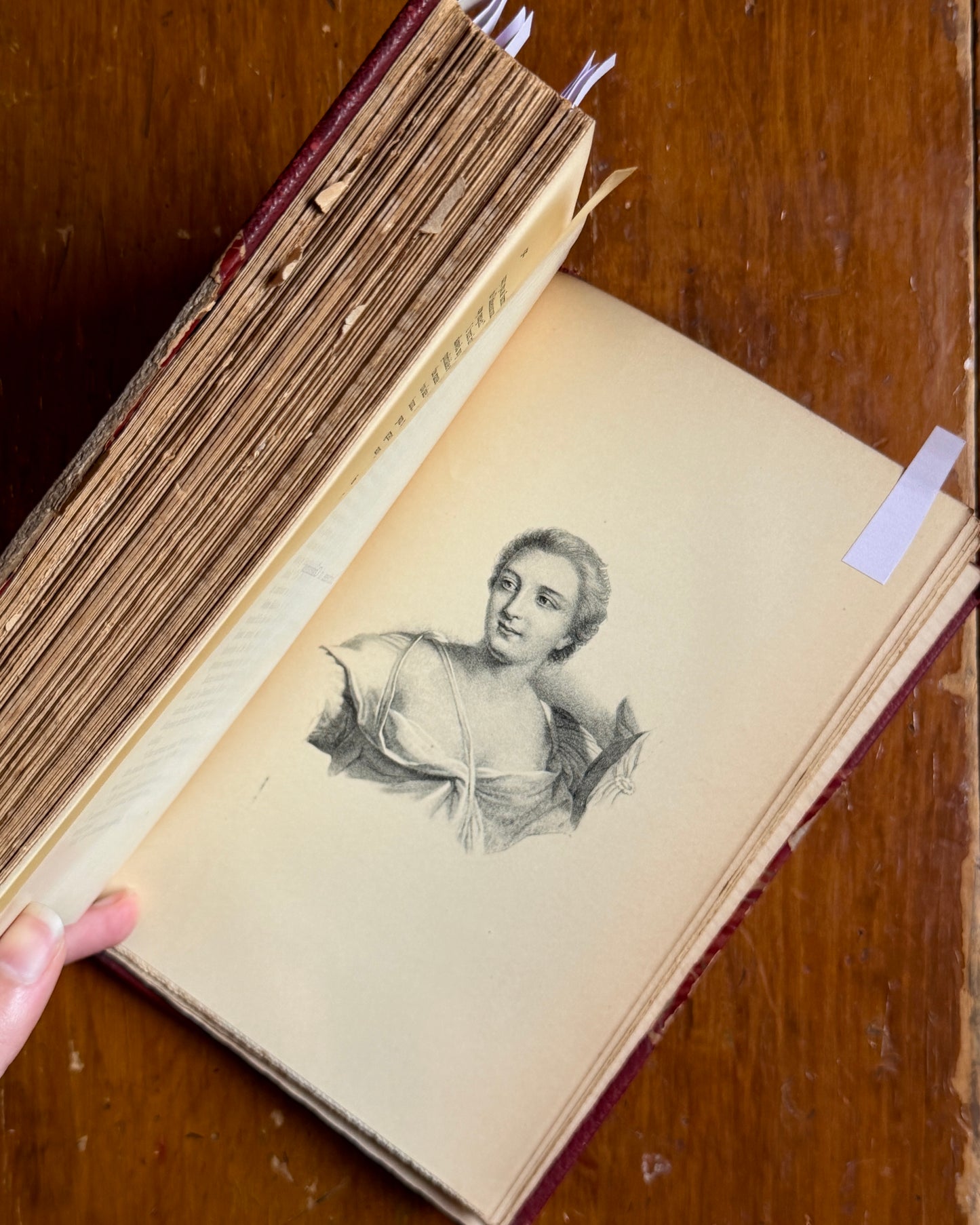 Courtiers and Favorites of Royalty, Vol. III | Madame du Barry
