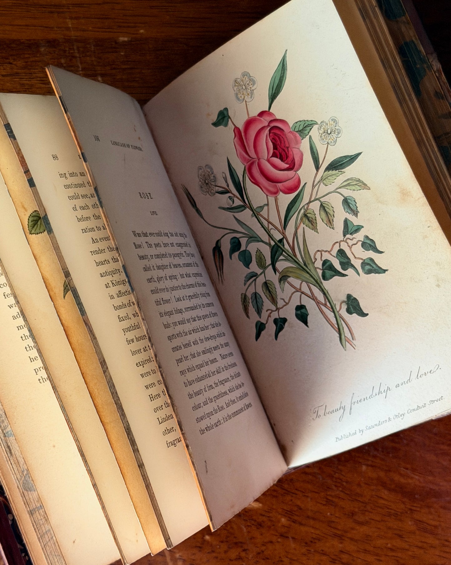 Language of Flowers Book