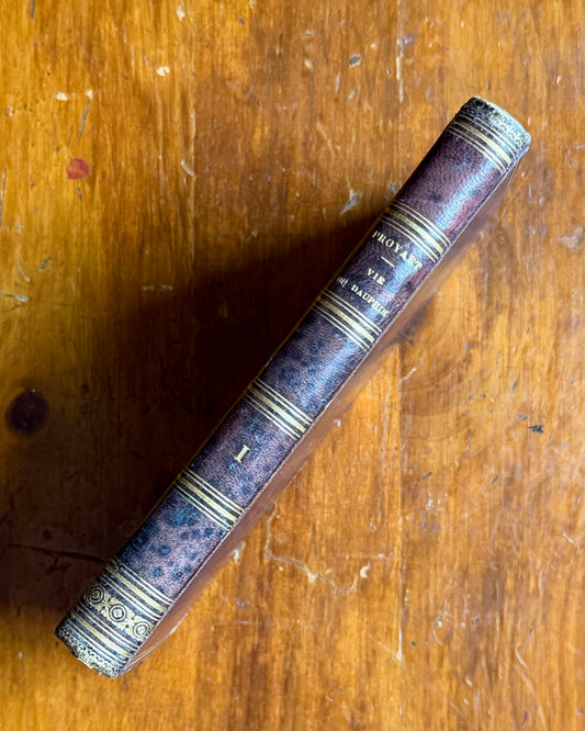 Vie du Dauphin, Vol. I | French Royal Biography