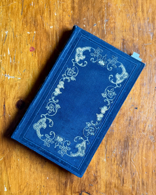 Illustrations Littéraires | French Book with Portraits