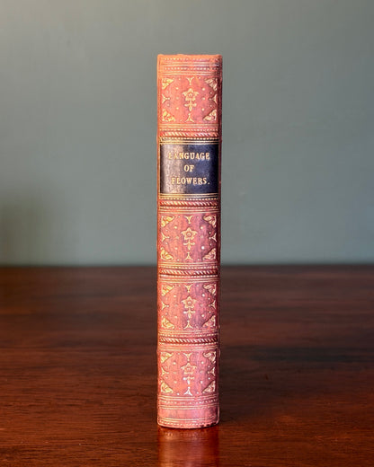 Language of Flowers Book