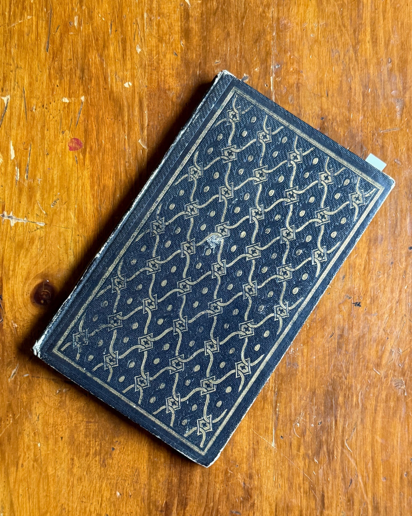 Une Expédition dans les Flores d’Usas | French Botanical Book