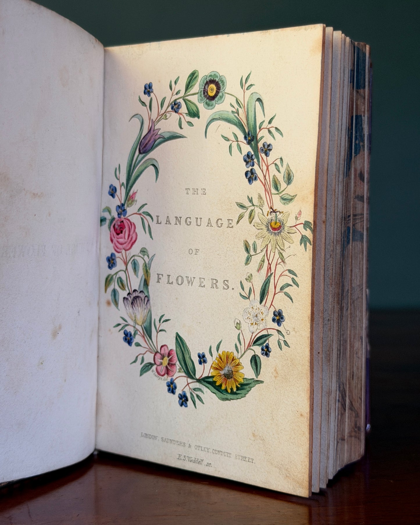 Language of Flowers Book
