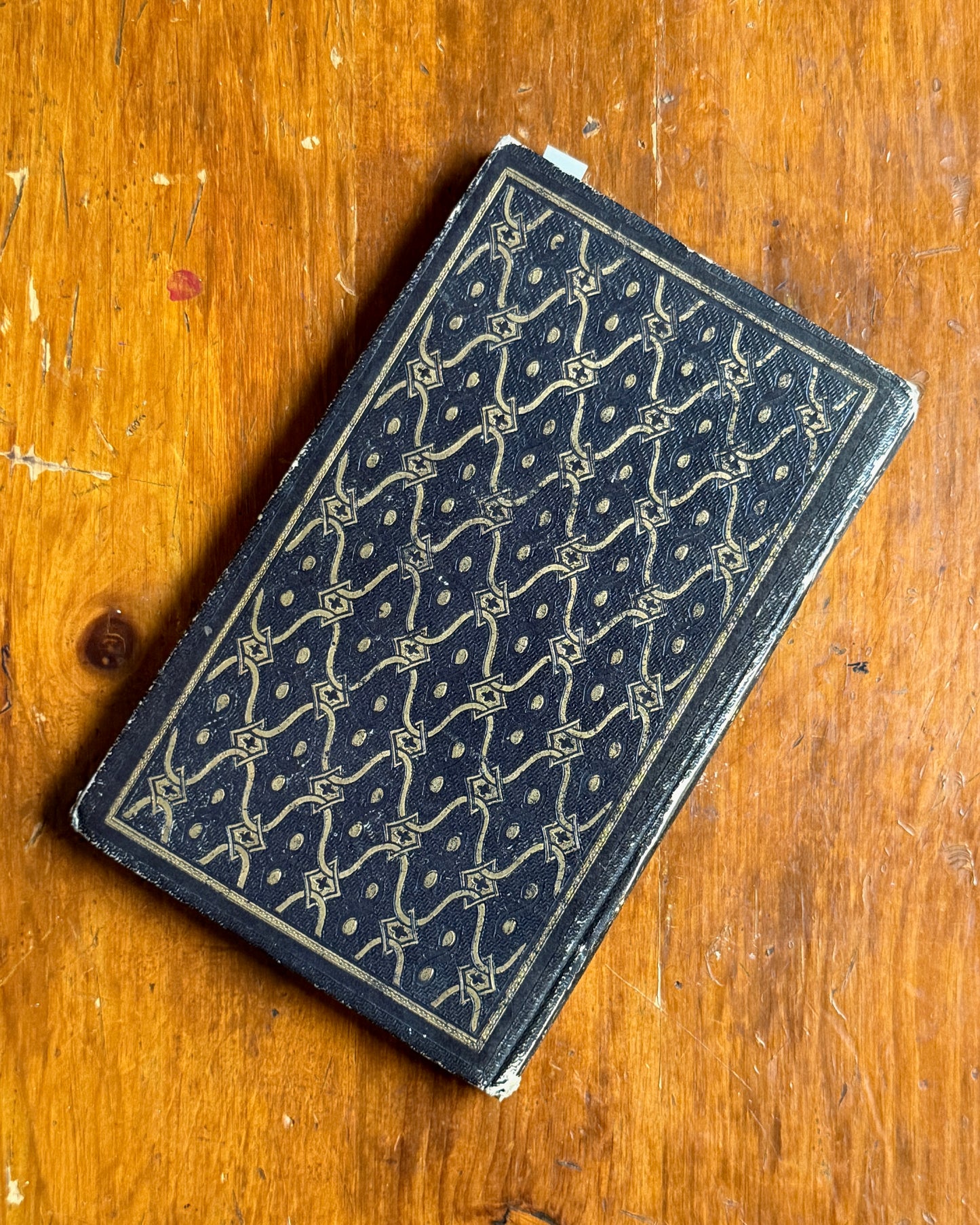 Une Expédition dans les Flores d’Usas | French Botanical Book