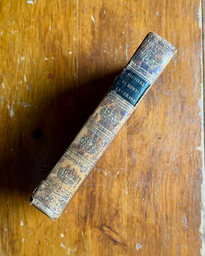 Histoire de Henri le Grand | French History Book