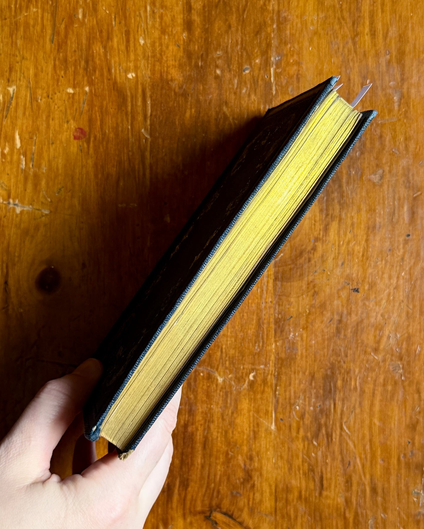 Illustrations Littéraires | French Book with Portraits