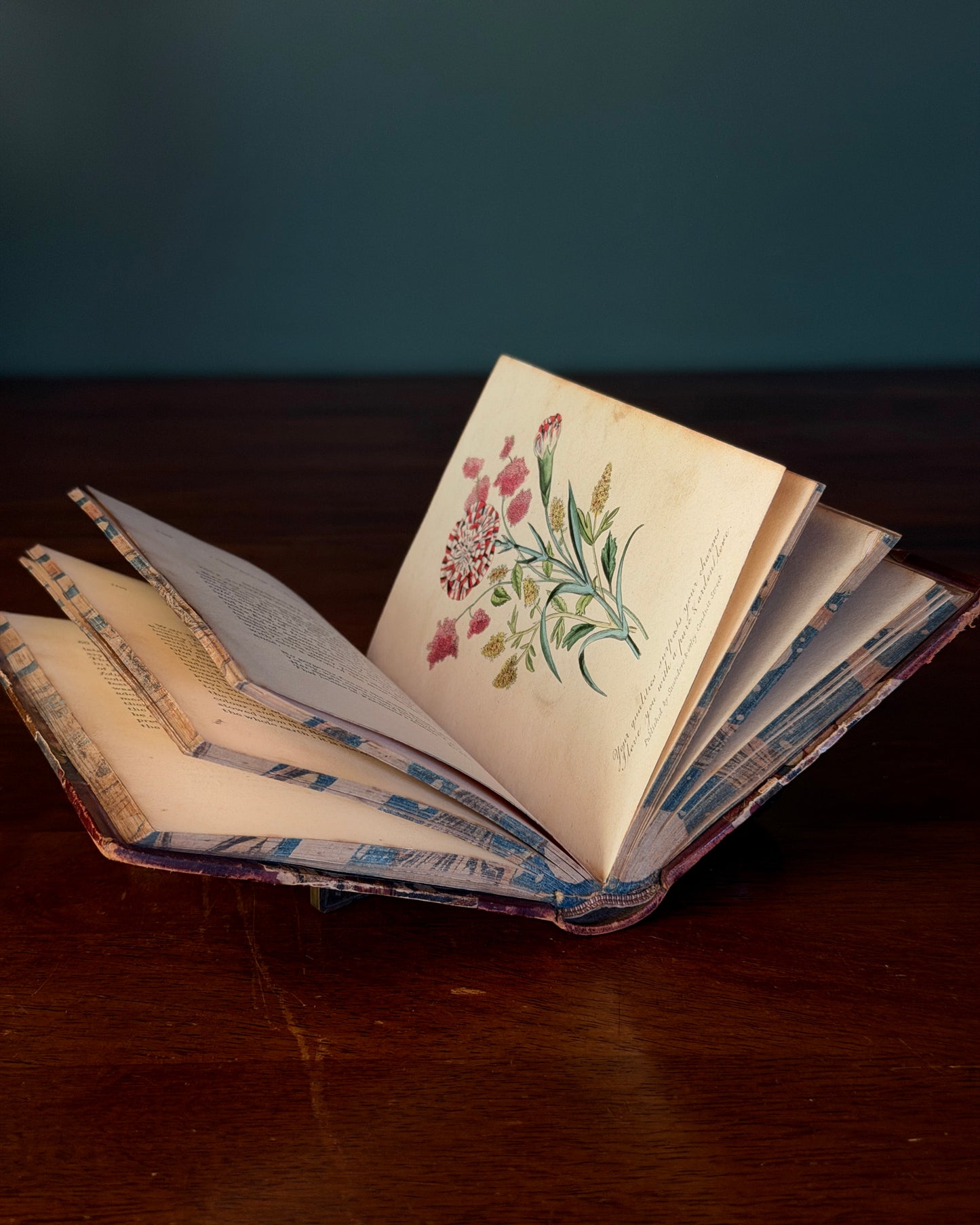 Language of Flowers Book