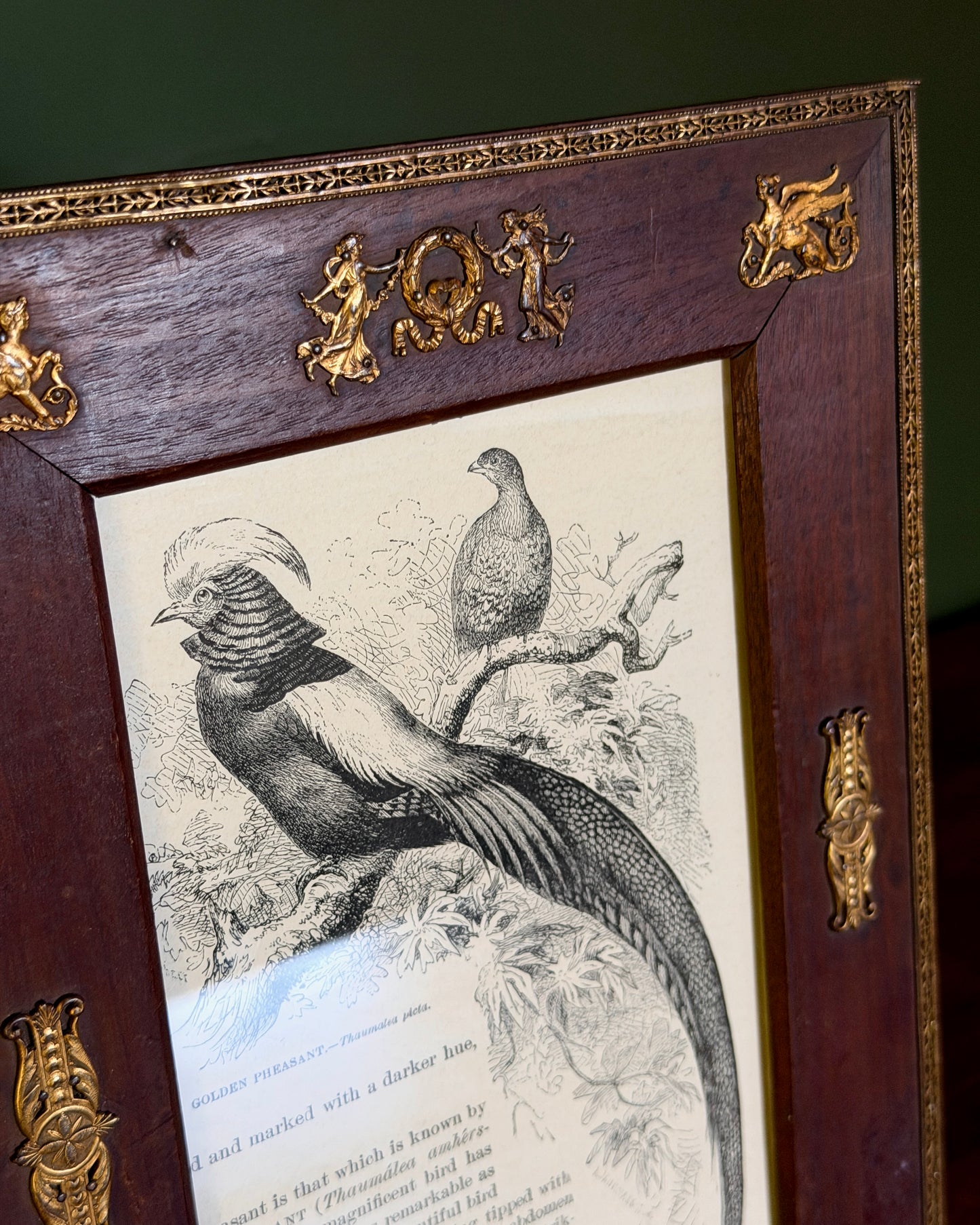Wood and Ormolu Frame