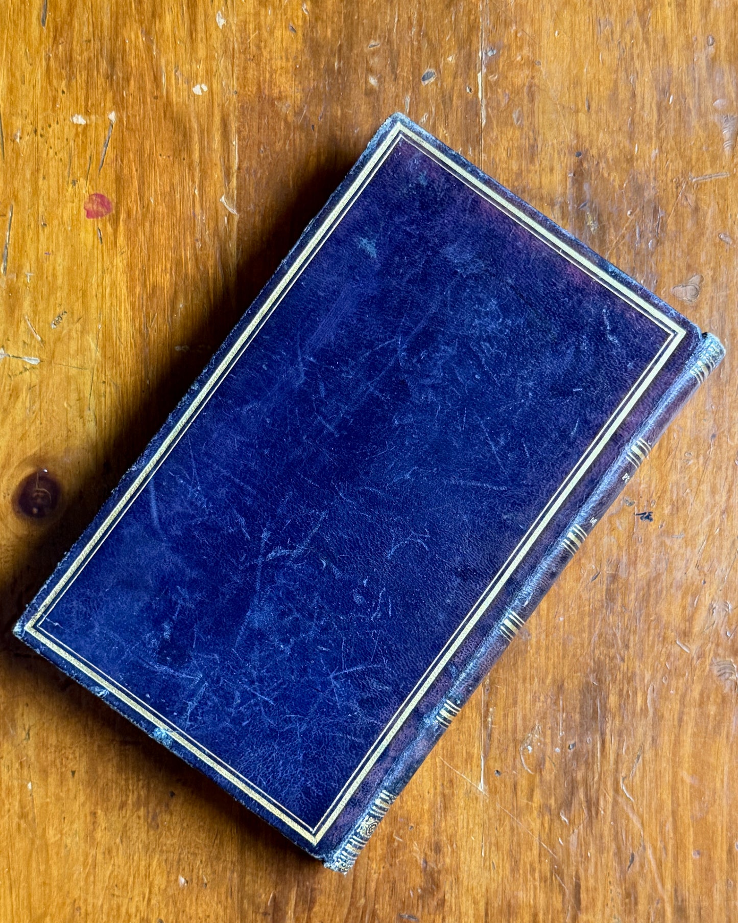 Vie du Dauphin, Vol. I | French Royal Biography
