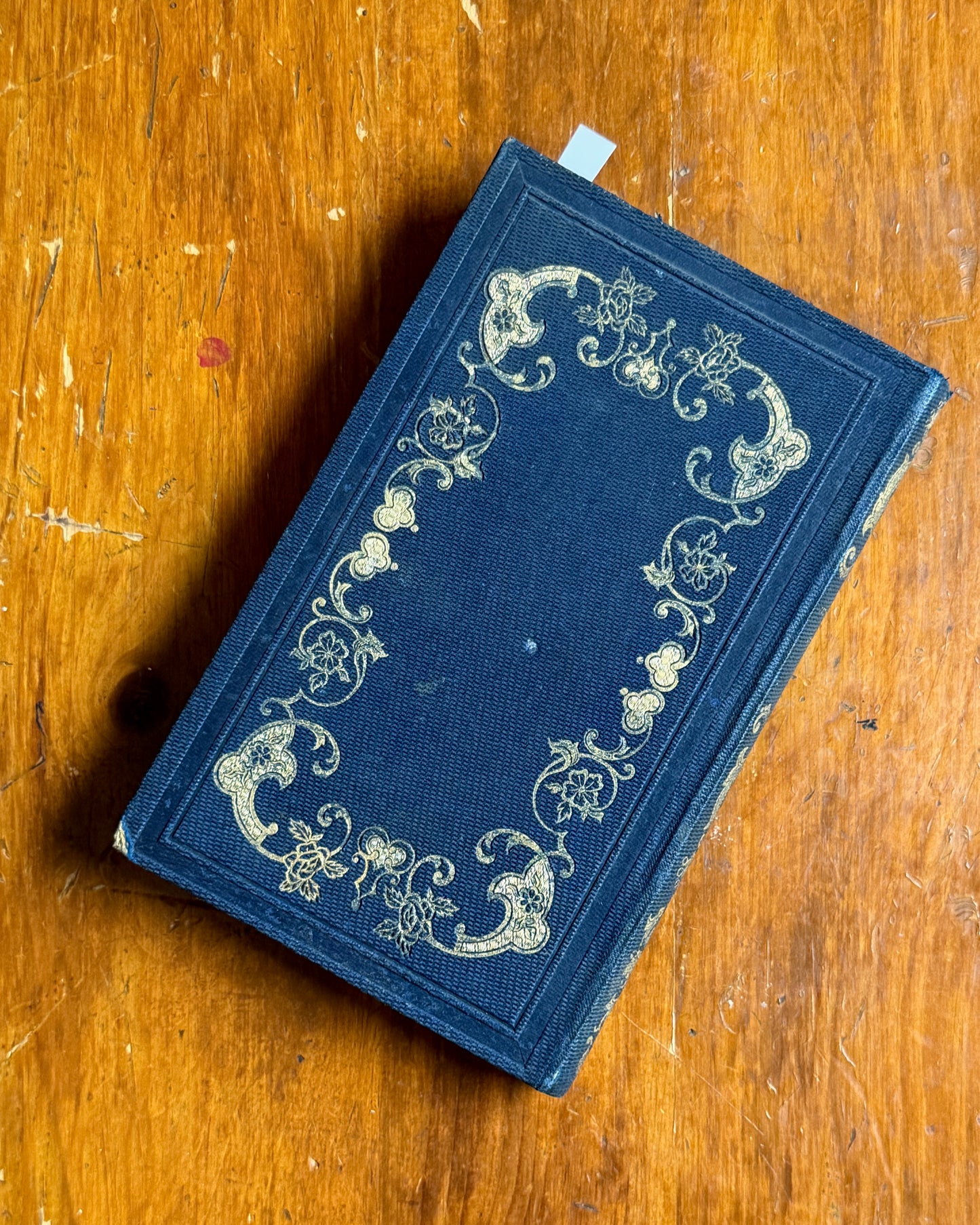 Illustrations Littéraires | French Book with Portraits