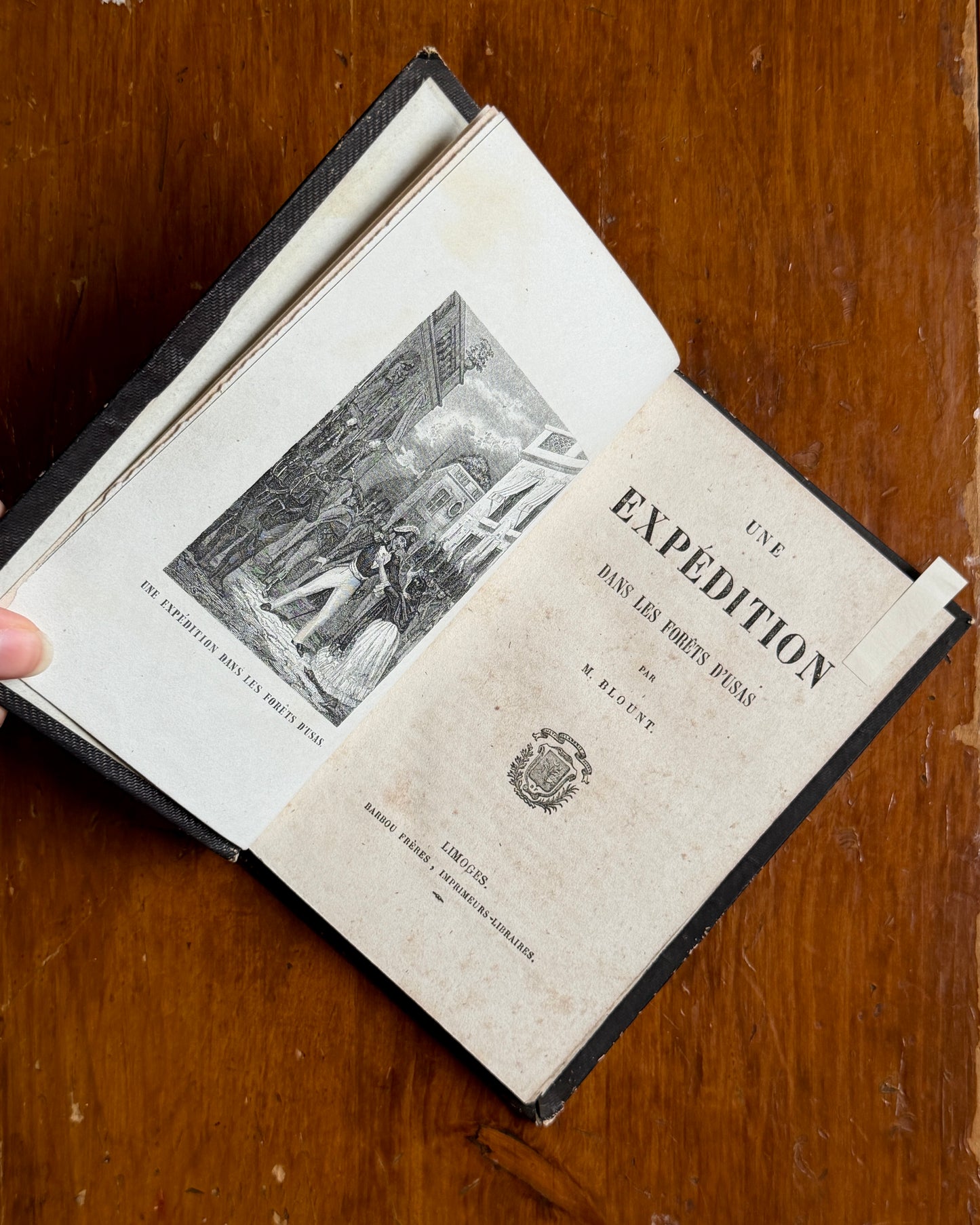 Une Expédition dans les Flores d’Usas | French Botanical Book
