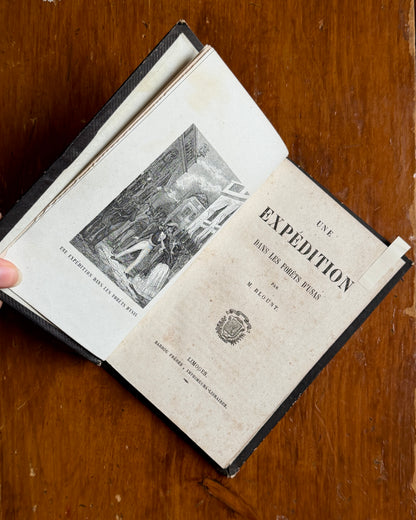 Une Expédition dans les Flores d’Usas | French Botanical Book