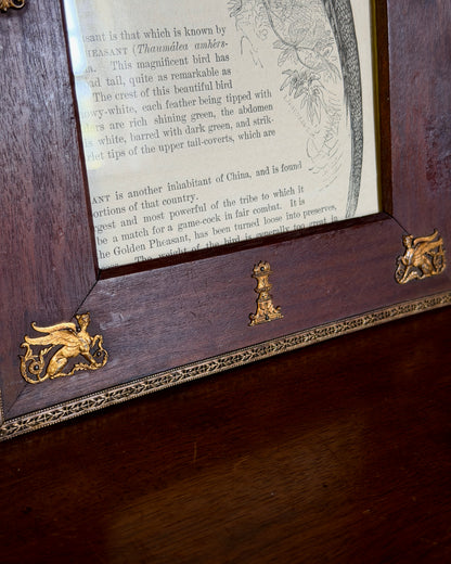Wood and Ormolu Frame
