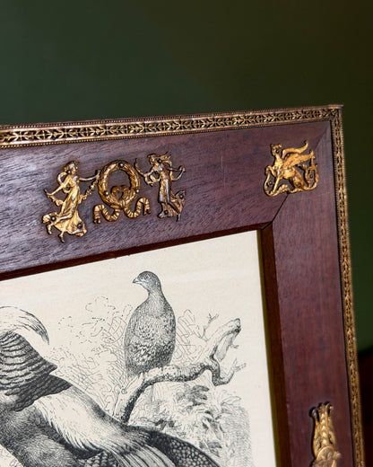 Wood and Ormolu Frame