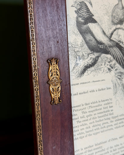 Wood and Ormolu Frame