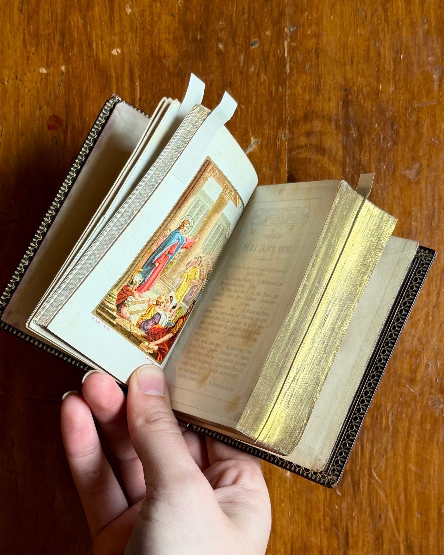 Paroissien | French Prayer Book