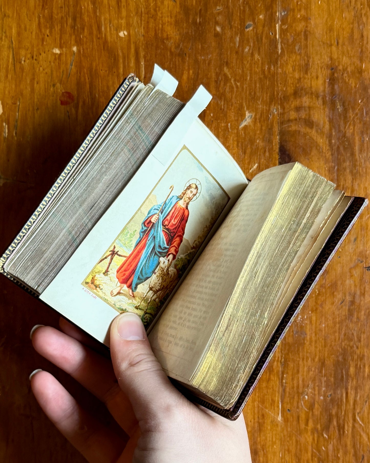 Paroissien | French Prayer Book
